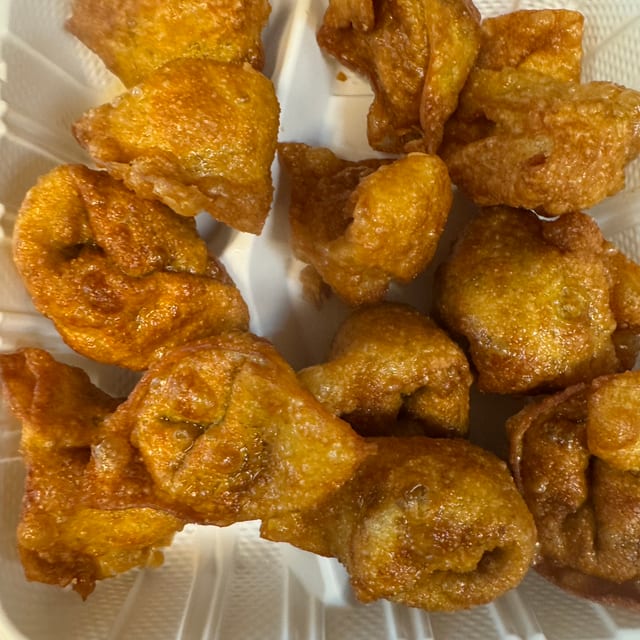 Fried Wonton (12).